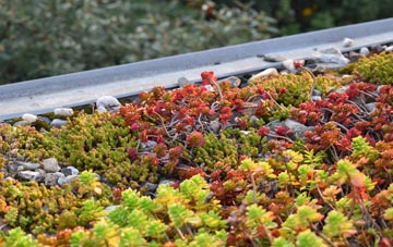 the cost of Threelows green roof installation