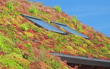 Threelows living roof systems