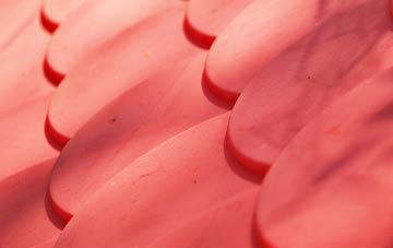 Threelows plastic roof costs