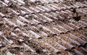 Threelows roof cleaning companies