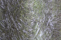 Threelows fibreglass roof work